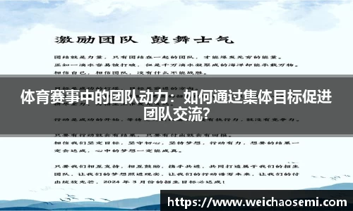 体育赛事中的团队动力：如何通过集体目标促进团队交流？